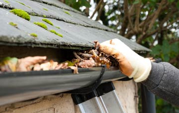 gutter cleaning Tanfield Lea, County Durham