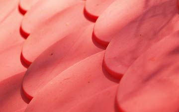 Tanfield Lea plastic roof costs