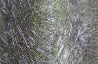 Tanfield Lea fibreglass roof work